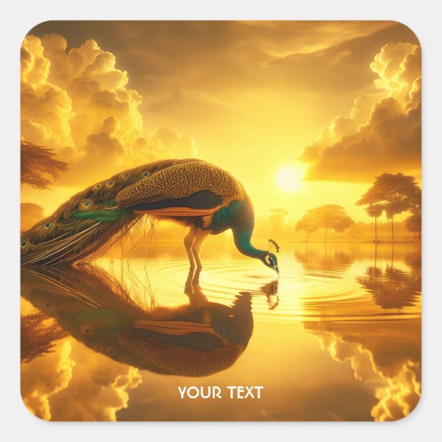 Fantasy Cute Peacock Drinking Water Square Sticker (Front)