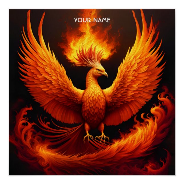 Fantasy Cute Vivid Flames Phoenix Bird Poster (Front)