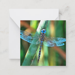 Fantasy Dragonfly In Turquoise and Black Card