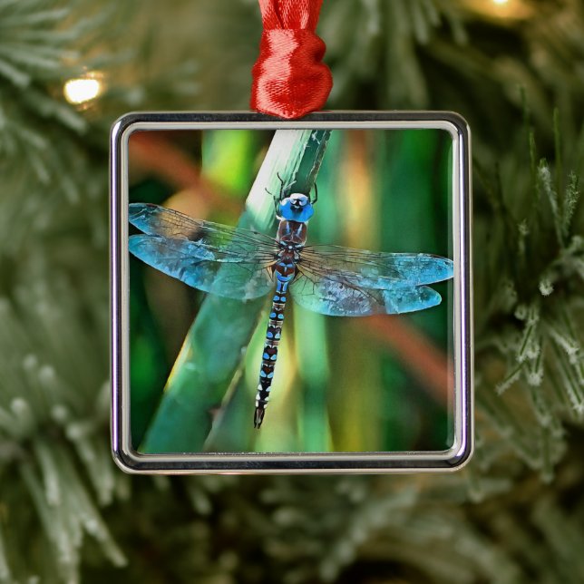 Fantasy Dragonfly In Turquoise and Black Metal Ornament (Tree)