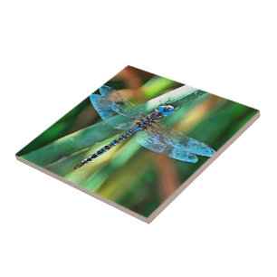 Fantasy Dragonfly In Turquoise and Black Tile
