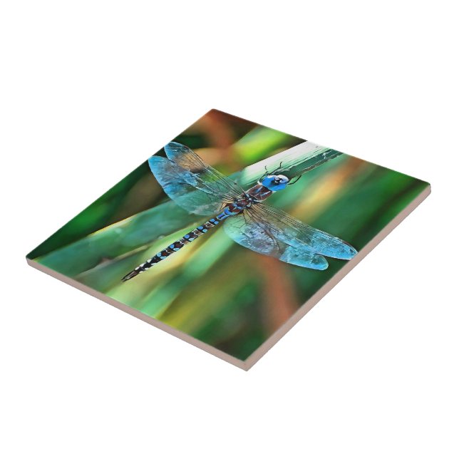 Fantasy Dragonfly In Turquoise and Black Tile (Side)