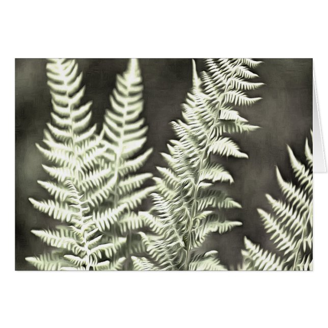 Fantasy Feather Like Fern (Front Horizontal)