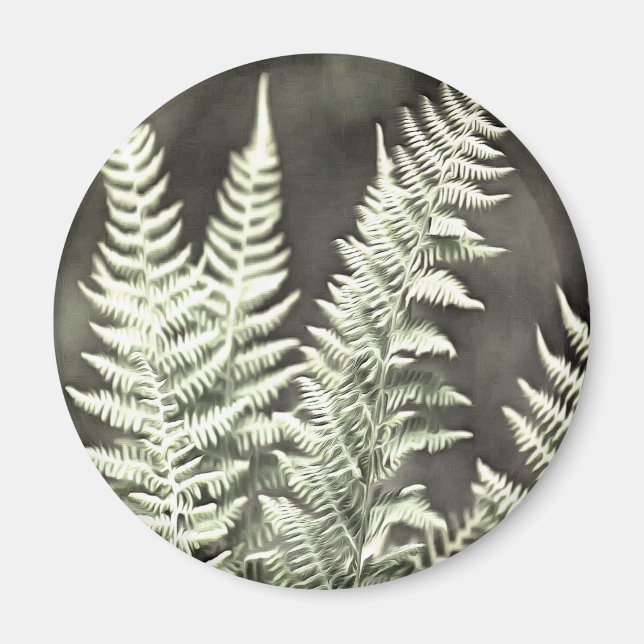 Fantasy Feather Like Fern Magnet (Front)