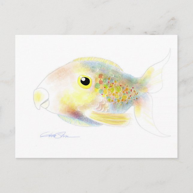 Fantasy Fish: Polly Post Cards (Front)