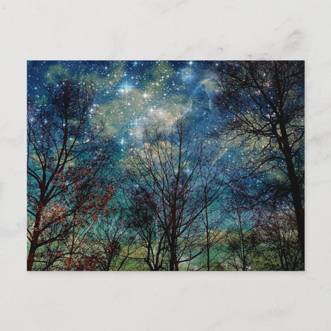 Fantasy Forest Celestial Woods Night Stars Postcard (Front)