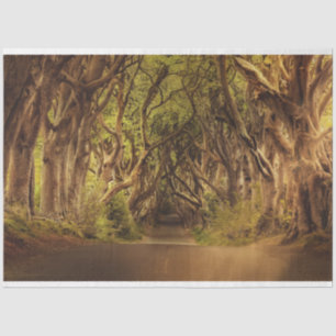 Fantasy Forest Gothic 20x30 Decoupage Tissue Paper