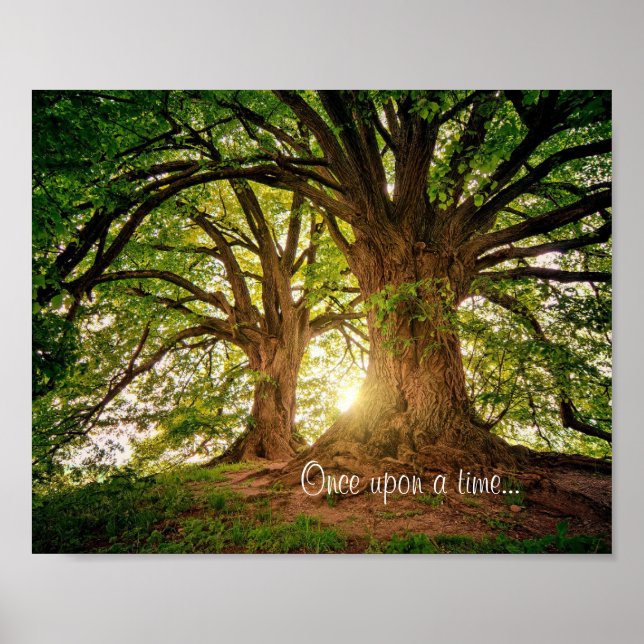 Fantasy Forest Poster (Front)