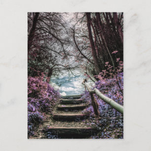 Fantasy Forest Steps Postcard