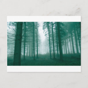 Fantasy forest with fog in Green Postcard