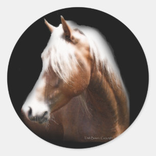 Fantasy Horse in Black Classic Round Sticker