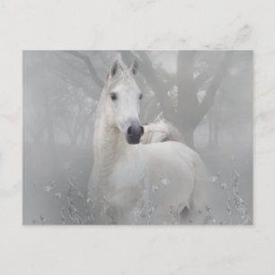 Fantasy Horse Postcard