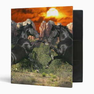 Fantasy Horses: Black Magic Binder