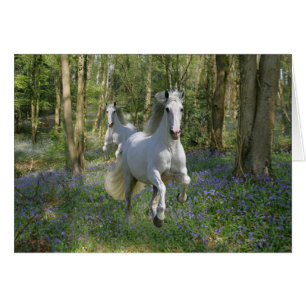 Fantasy Horses: Bluebell Wood