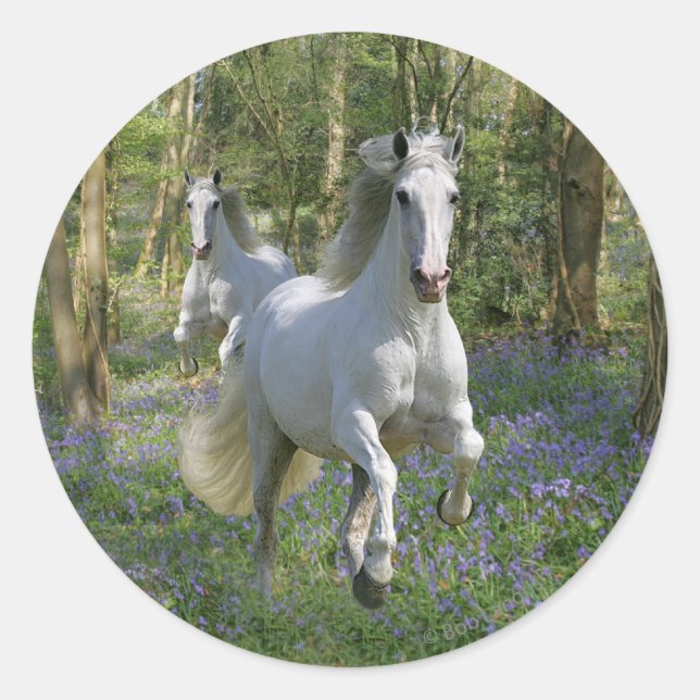 Fantasy Horses: Bluebell Wood Classic Round Sticker (Front)