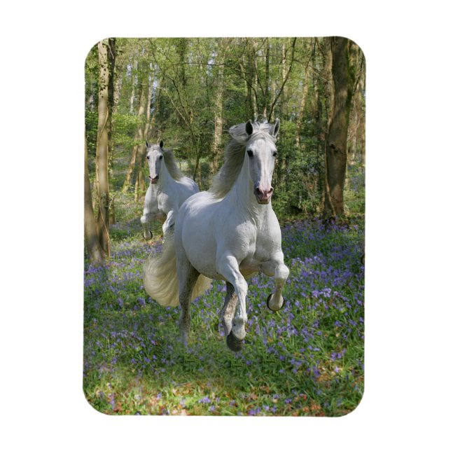 Fantasy Horses: Bluebell Wood Magnet (Vertical)