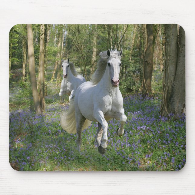 Fantasy Horses: Bluebell Wood Mouse Pad (Front)