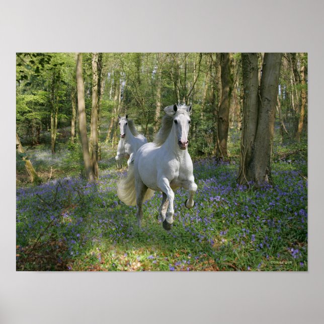 Fantasy Horses: Bluebell Wood Poster (Front)