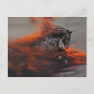 Fantasy Horses: Clouds Postcard