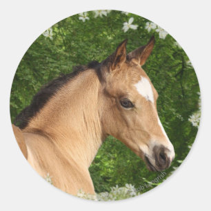 Fantasy Horses: Flowers Classic Round Sticker