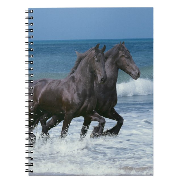 Fantasy Horses: Friesians & Sea Notebook (Front)