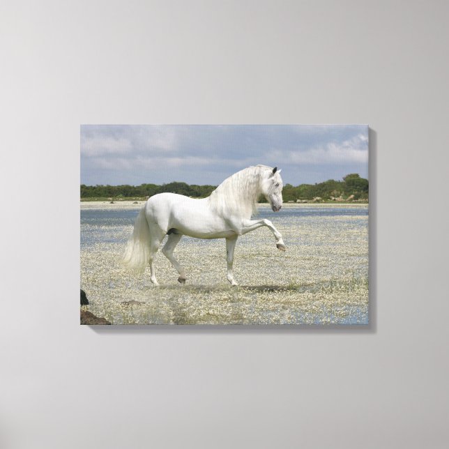 Fantasy Horses: Lord of the Lake Canvas Print (Front)
