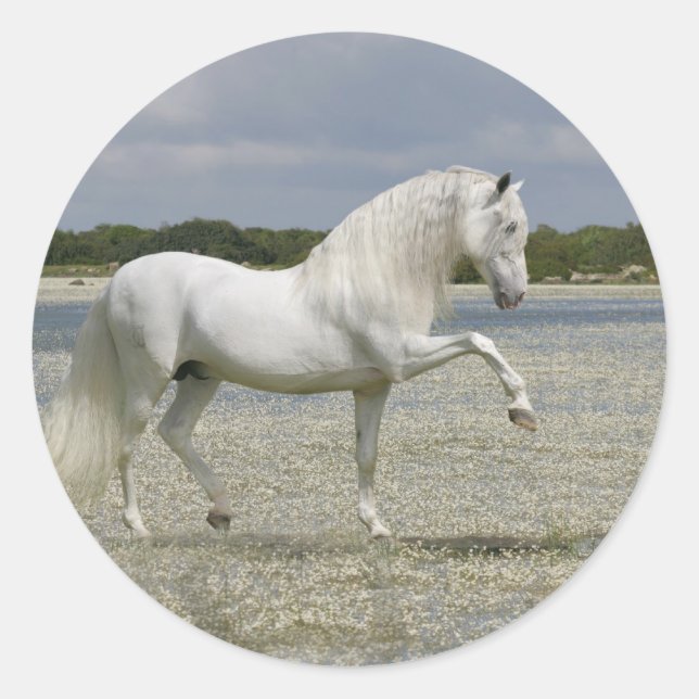 Fantasy Horses: Lord of the Lake Classic Round Sticker (Front)