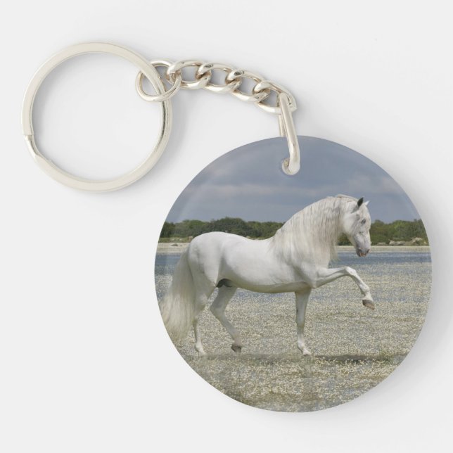 Fantasy Horses: Lord of the Lake Keychain (Front)