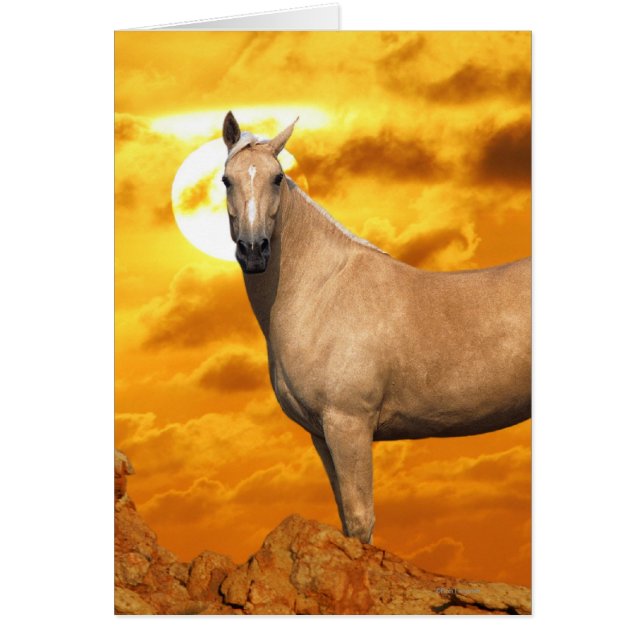 Fantasy Horses: Mountain (Front)