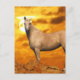 Fantasy Horses: Mountain Postcard