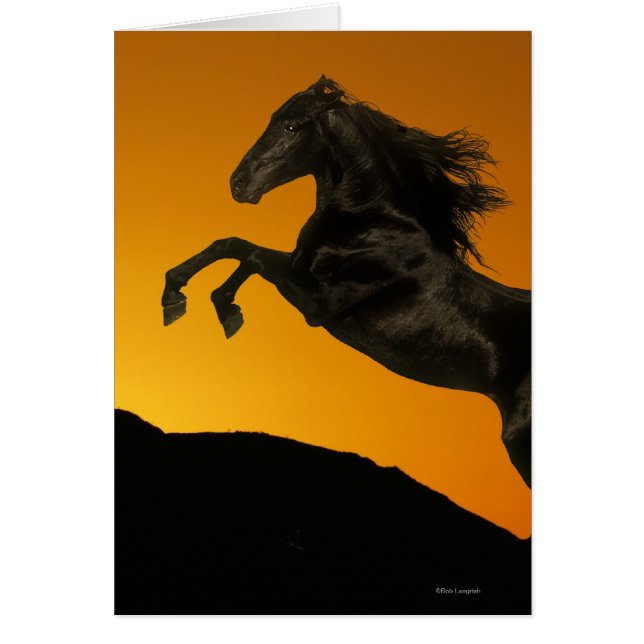 Fantasy Horses: Mountain Sunset (Front)