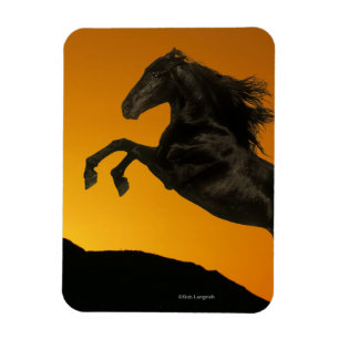 Fantasy Horses: Mountain Sunset Magnet