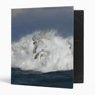 Fantasy Horses: Sea Binder