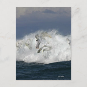 Fantasy Horses: Sea Postcard