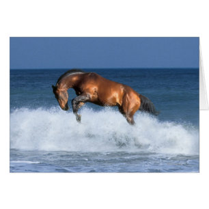 Fantasy Horses: Selle Francais & Sea