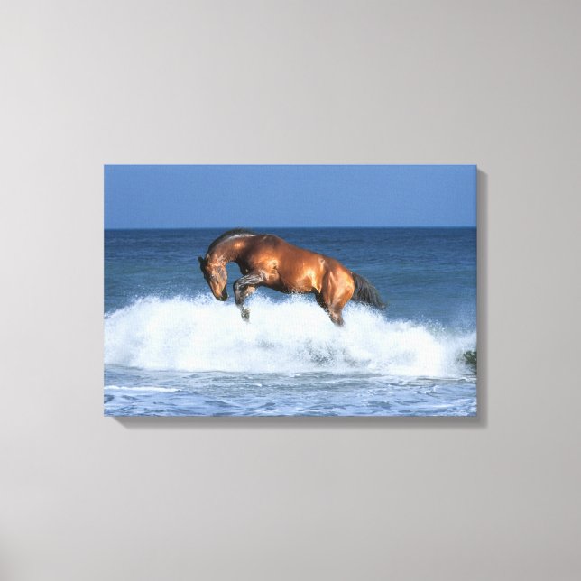 Fantasy Horses: Selle Francais & Sea Canvas Print (Front)