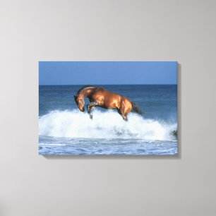 Fantasy Horses: Selle Francais & Sea Canvas Print