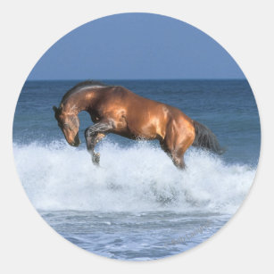 Fantasy Horses: Selle Francais & Sea Classic Round Sticker