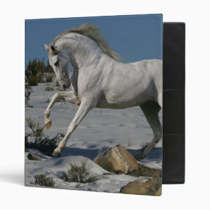 Fantasy Horses: Snow King Binder