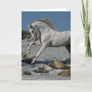 Fantasy Horses: Snow King Card