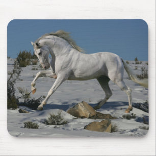 Fantasy Horses: Snow King Mouse Pad