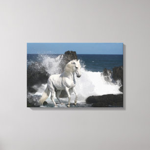 Fantasy Horses: Southern Seas Canvas Print