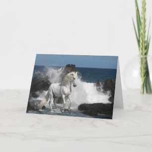 Fantasy Horses: Southern Seas Card