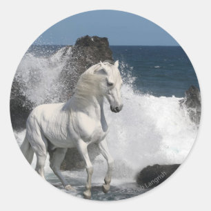 Fantasy Horses: Southern Seas Classic Round Sticker