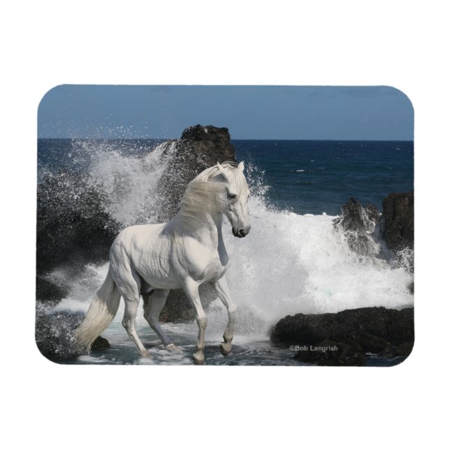 Fantasy Horses: Southern Seas Magnet (Horizontal)