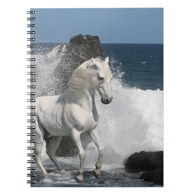 Fantasy Horses: Southern Seas Notebook (Front)