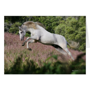 Fantasy Horses: Spring Gallop