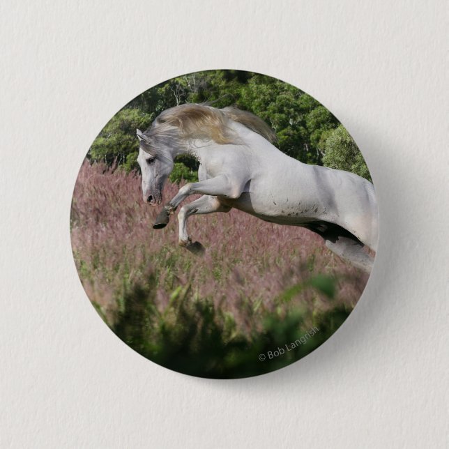 Fantasy Horses: Spring Gallop 2 Inch Round Button (Front)