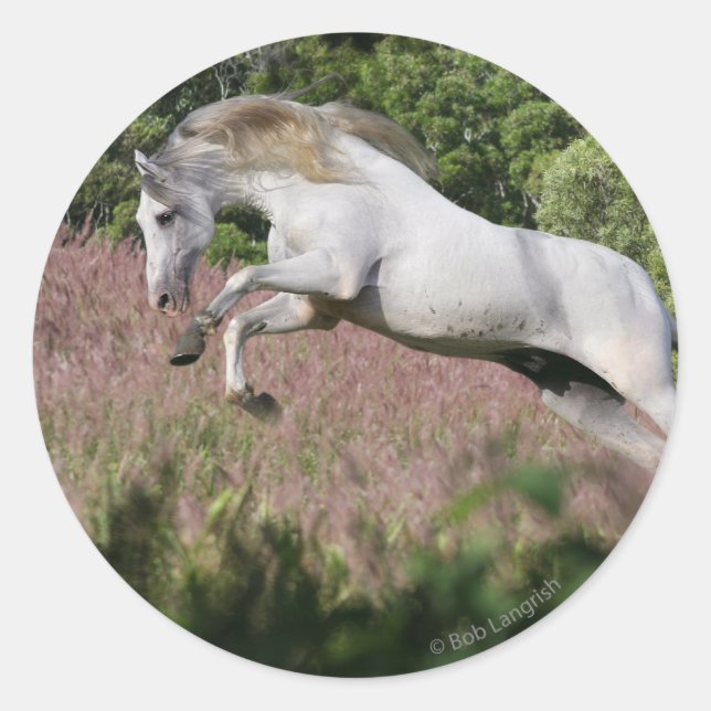 Fantasy Horses: Spring Gallop Classic Round Sticker (Front)