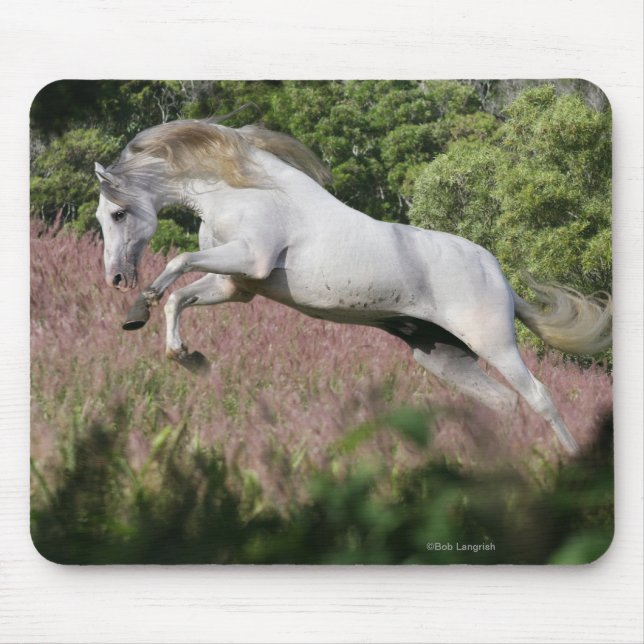 Fantasy Horses: Spring Gallop Mouse Pad (Front)